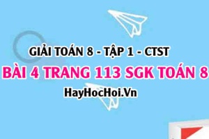 Giải bài 4 trang 113 Toán 8 Tập 1 SGK Chân trời sáng tạo